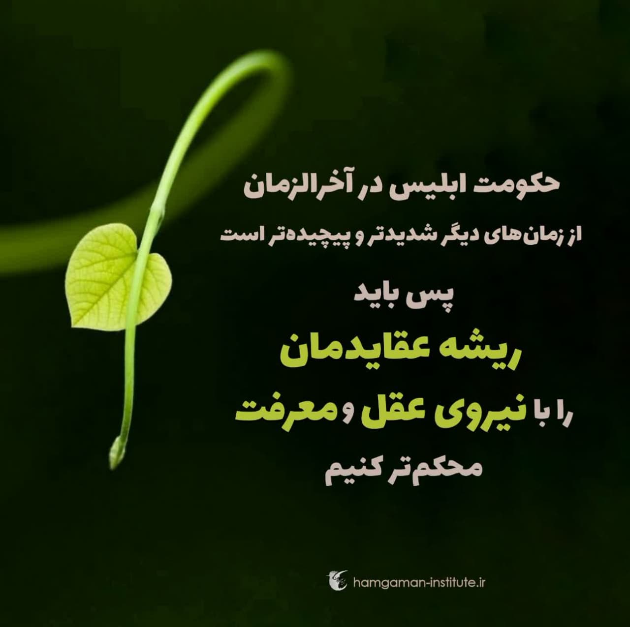 رهایی از قیود